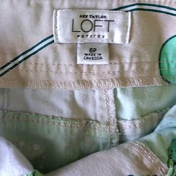 Ann Taylor LOFT Skirt - Picture 4 of 5